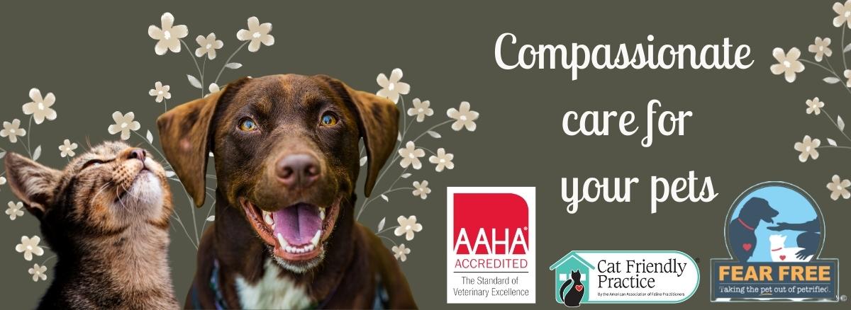 Veterinary Services of Aiken | animal hospital in Aiken